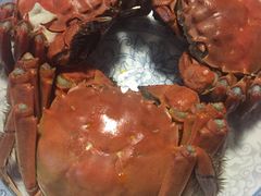 -黄记大闸蟹专卖店·活蟹·醉蟹