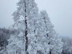 -武陵山森林公园