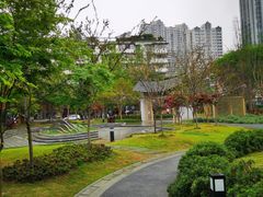 -神仙树公园
