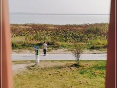 -七的湖·晚芳亭·阳澄湖农家菜·大闸蟹(莲花岛店)