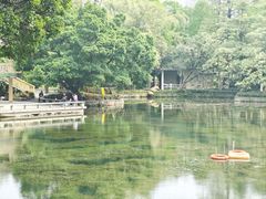 -晓港公园