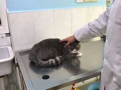 -畜牧兽医站(共江路店)