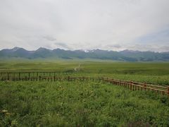 -新疆那拉提国家旅游度假区