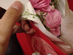 -海底捞火锅(太阳宫凯德mall店)