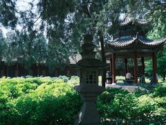 -洛阳白马寺