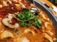 -龙梅肥肠鱼(明瓦廊店)