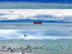 -青海湖国家重点风景名胜区