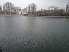 iphone_upload_pic-青岛大学(金家岭校区)