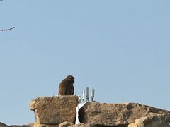 -太原动物园