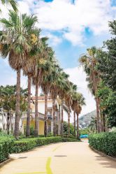 -亚洲海湾大酒店·宴会厅