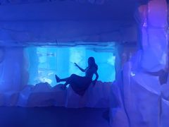 -暹罗海洋世界