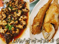 香煎马头鱼-金苑海鲜酒家(新港中路店)