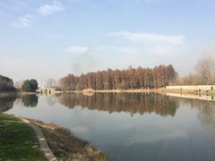 -汉水公园