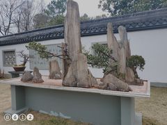 -杭州植物园