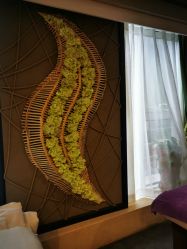 -青青一生美皮肤管理