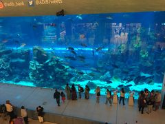 -迪拜水族馆及水下动物园