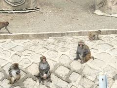 -哈尔滨北方森林动物园