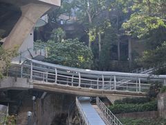 -香港大学