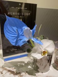 -明潪Selfology升维护理中心