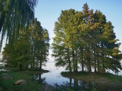 -长广溪湿地公园