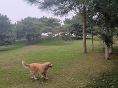 -秀水公园