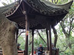-绮园景区