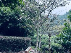 -九龙潭景区