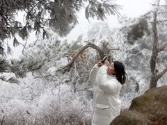 -鲁山国家森林公园