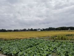 -中国天府农业博览园