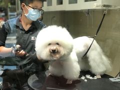 -宠物家(双井店)