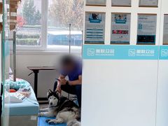 -美联众合动物医院·24h京西诊疗中心