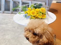-MQ COFFEE STAND明谦(新洲店)