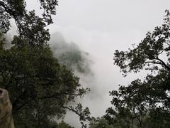 -塔云山