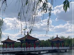 -长春市南湖公园