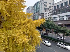 -春阳水饺(香槟广场店)