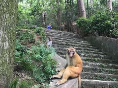 -黔灵山公园