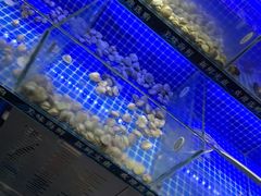 -星海汇海鲜烤肉火锅自助(二七广场百年德化店)