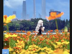 -海珠湖公园