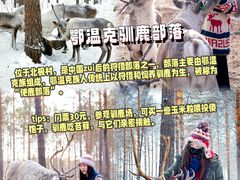 -北极村旅游风景区