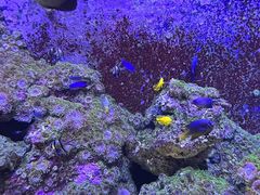 -成都浩海立方海洋公园