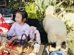 -HERRE·FARM 赫尔露营农场·团建聚会包场