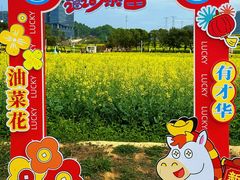 -光明小镇欢乐田园