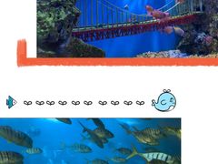 -太平洋海底世界