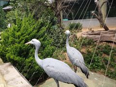 -大连森林动物园