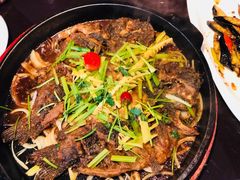 -老板恋上鱼(恒隆广场店)