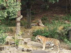 -宁波野生动物园