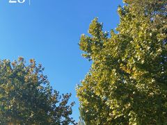 -滨河世纪广场公园