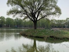 -将府公园