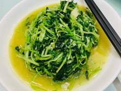 -金春禧(世茂国际广场店)