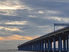 -宝安西湾红树林湿地公园